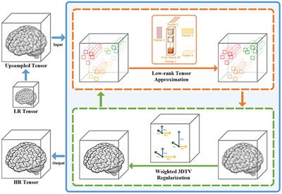 Nonconvex Nonlocal Tucker Decomposition for 3D Medical Image Super-Resolution